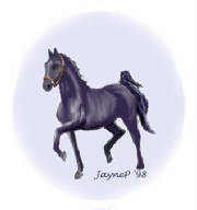 gaitedhorse.jpg